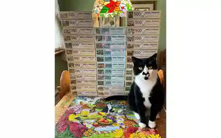 How to Donate Used Jigsaw Puzzles