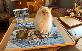 Winter Jigsaw Puzzles