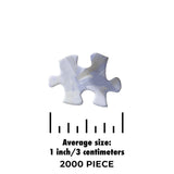 2000 Piece count image