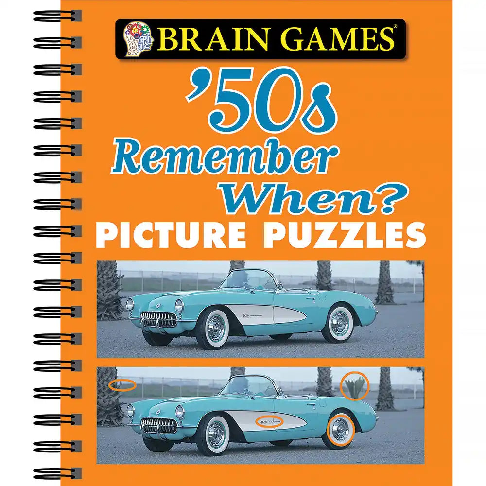 Brain Games: Remember When Picture Puzzle Book | Bits and Pieces