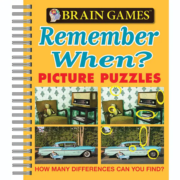 Brain Games: Remember When Picture Puzzle Book | Bits and Pieces