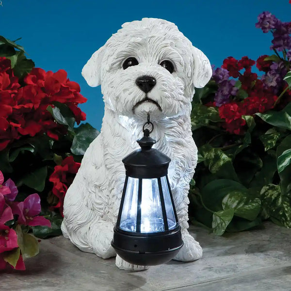 Solar Powered Big Eyes Dachshund Dog Garden Light – Cool White LEDs, Resin Ornament