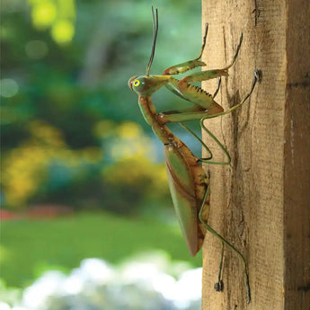 Set Of 4 Metal Art Garden Decor – Cute Grasshopper Outdoor Wall Sculptures – Multicolor