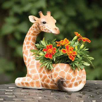 giraffe succulent pot Bits and Pieces Giraffe Wildlife Safari Planter with Indoor/Outdoor Decoration