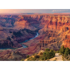 49934_medium.webp?v=1723147678