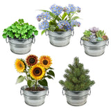 Grow Your Own Mini Garden Kits