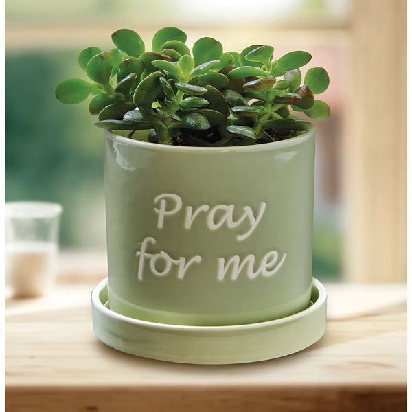 pray for me plant pot Pray For Me Planter