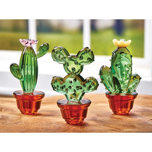 Set of 3 Glass Garden Cactus Collection