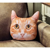 Cat Face Pillows