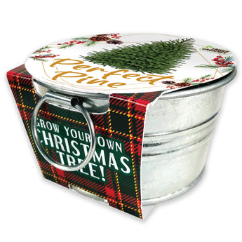 Grow Your Own Mini Garden Kits