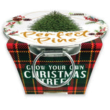 Grow Your Own Mini Garden Kits