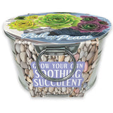 Grow Your Own Mini Garden Kits