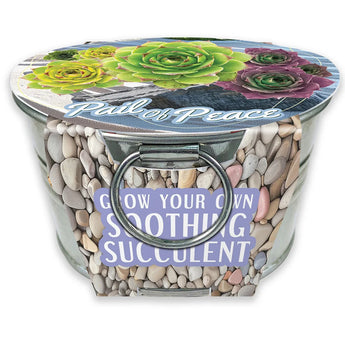 Grow Your Own Mini Garden Kits