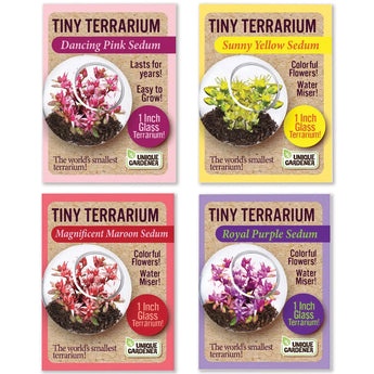 Set of 4 Tiny Terrariums