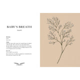 Floriography An Illustrated Guide to the Victorian Language of Flowers Book