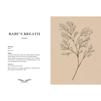 Floriography An Illustrated Guide to the Victorian Language of Flowers Book