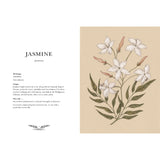 Floriography An Illustrated Guide to the Victorian Language of Flowers Book