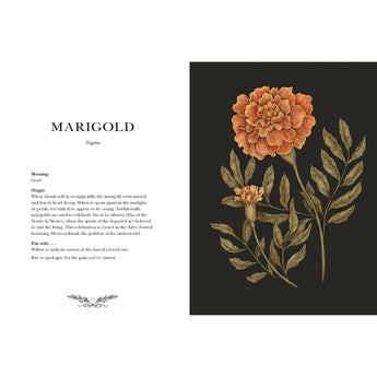 Floriography An Illustrated Guide to the Victorian Language of Flowers Book