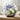 Mini Glass Terrariums
