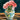 Flower and Garden Jigsaw Puzzles