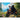 Black Bears In The Canadian Wilderness Jigsaw Puzzle