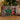 12 Days Of Puzzles Countdown To Christmas Adventure