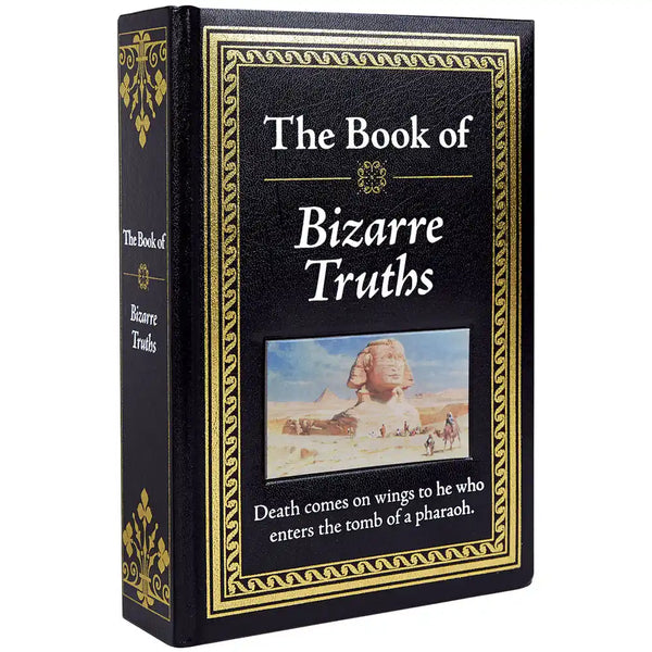 The Know-It-All Library Book | Bits and Pieces