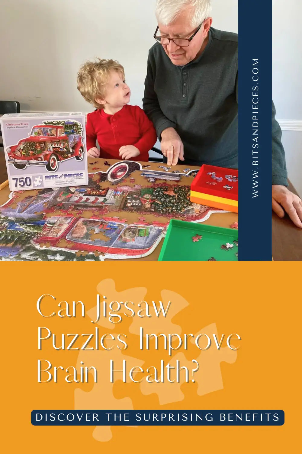 Do%20Puzzles%20Improve%20Memory?